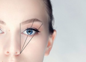 Guides for perfectly shaped brows
